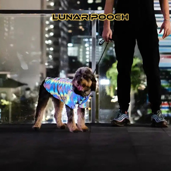 Lunar Pooch reflective dog hoodie - size 6 - iridescent reflective dog coat - Picture 9 of 14
